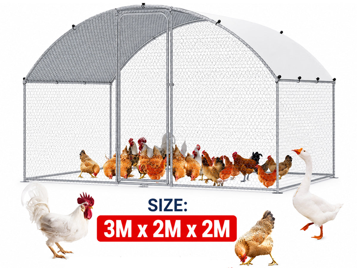 Outdoor Chicken Coop 3M x 2M x 2M