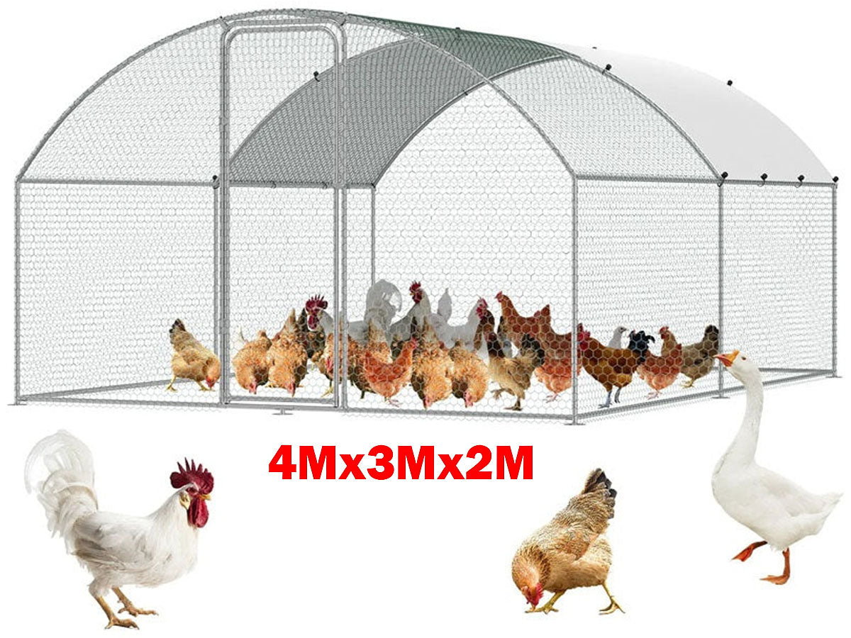 Outdoor Chicken Coop
