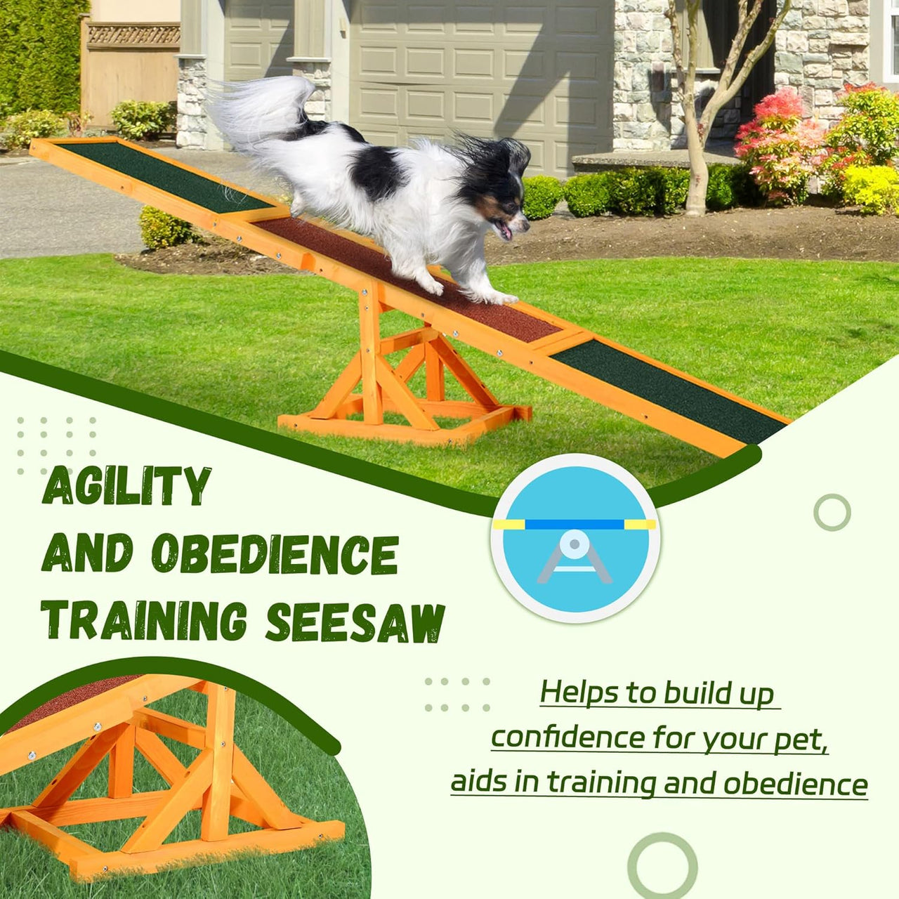 Dog Agility Equipment Seesaw