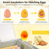 Thumbnail for Egg Incubator Hatcher