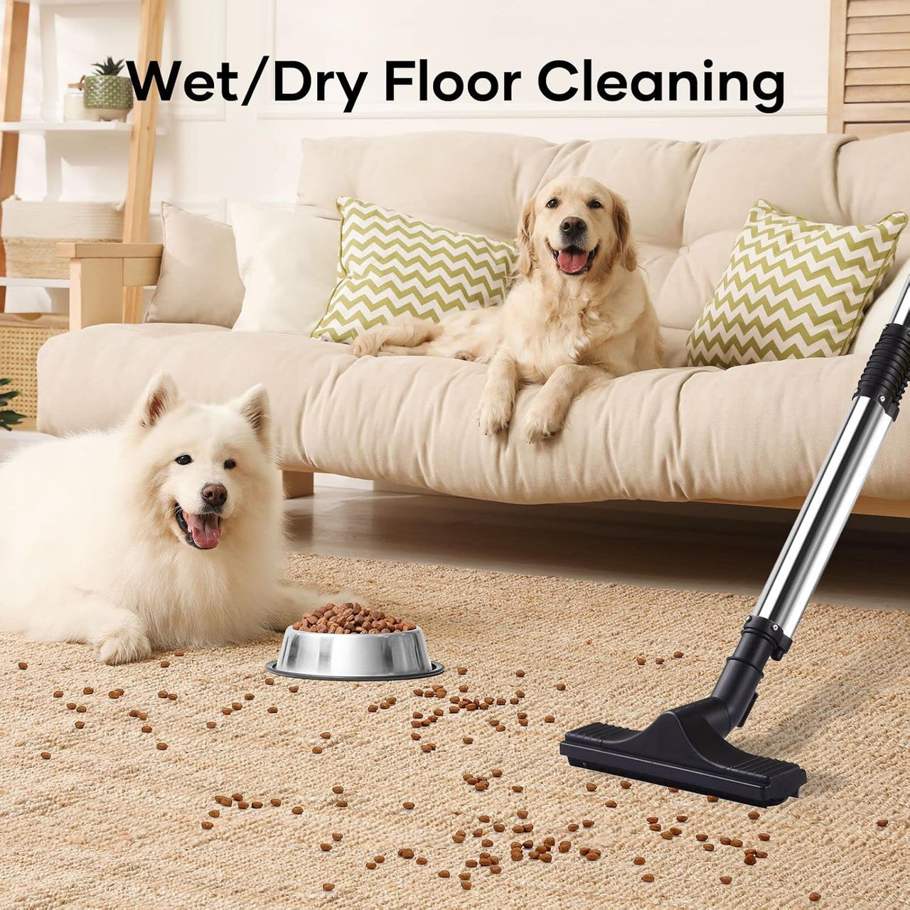 Carpet Cleaner Machine