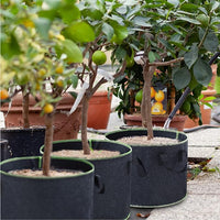 Thumbnail for Plant Grow Bag 4 Pack