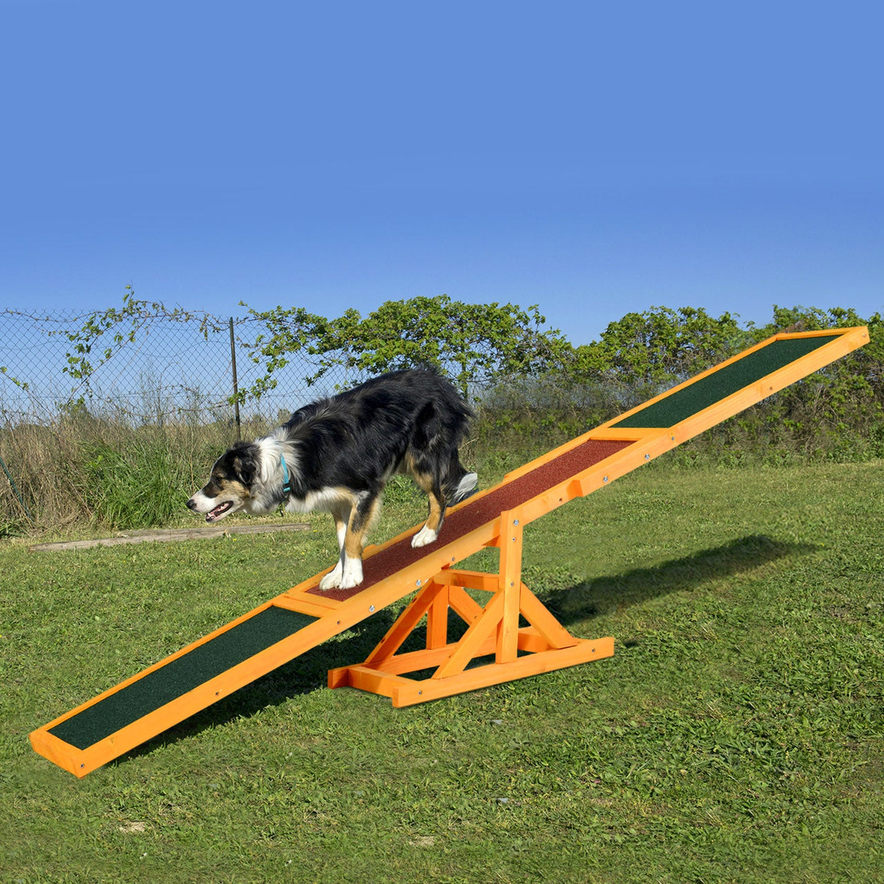 Dog Agility Equipment Seesaw