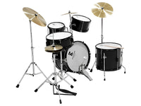 Thumbnail for Black poplar hardwood shells on drums