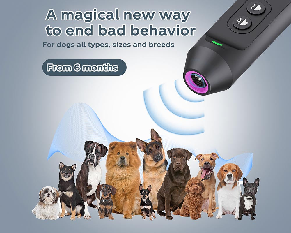 Compact dog bark control device