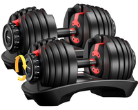 Thumbnail for Dumbbells made of silicon steel and nylon