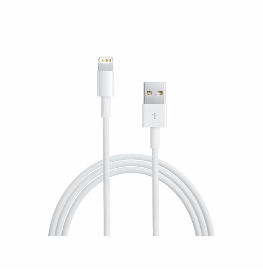 iPhone Charger with USB Wall Charger Replacement