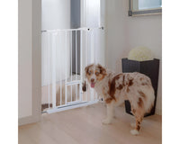 Thumbnail for Gate bar spacing close-up