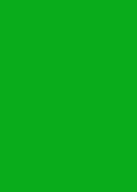 Thumbnail for Chromakey Green Screen Backdrop 3M X 2M Muslin Background - The Shopsite