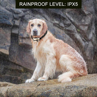 Thumbnail for Dog Barking Control Dog Bark Collar Anti Bark