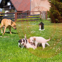 Thumbnail for Ultrasonic Dog Bark Control System Anti Barking