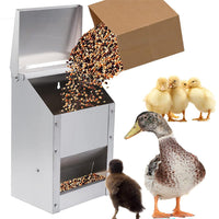 Thumbnail for Chicken feeder dimensions shown