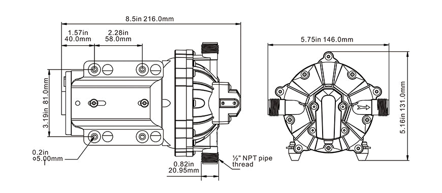 SEAFLO Diaphragm Pump