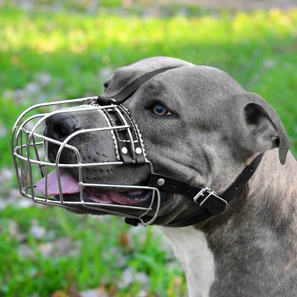 Dog Muzzle Dog Muzzle Wire Basket Amstaff Pit Bull Metal Mask Adjustable Leather Straps - The Shopsite