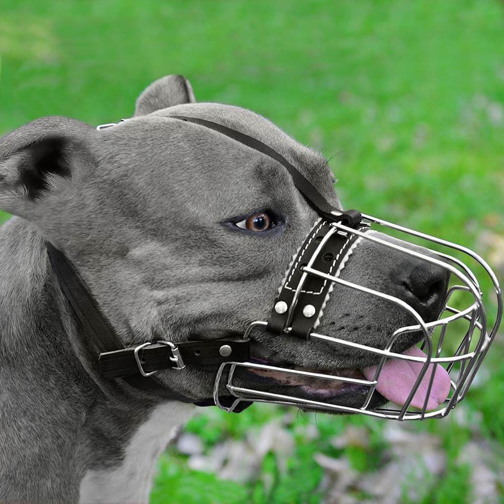 Dog Muzzle Dog Muzzle Wire Basket Amstaff Pit Bull Metal Mask Adjustable Leather Straps - The Shopsite