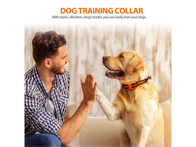 Dog Training Collar Rechargeable