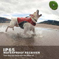 Thumbnail for Rechargeable Anti Barking Training Collar