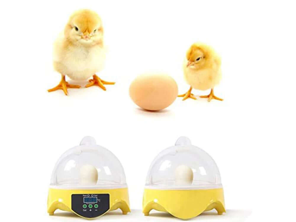 Egg Incubator 7 eggs - The Shopsite