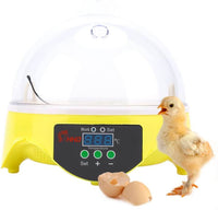 Thumbnail for Egg Incubator 7 eggs - The Shopsite