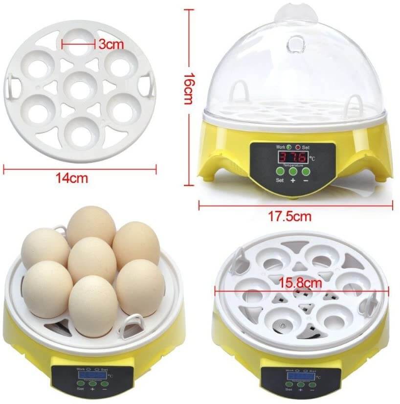 Egg Incubator 7 eggs - The Shopsite
