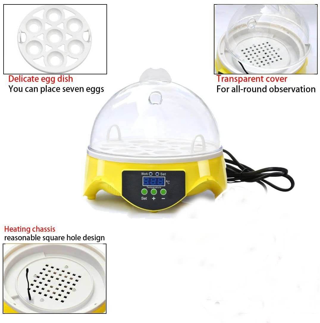 Egg Incubator 7 eggs - The Shopsite