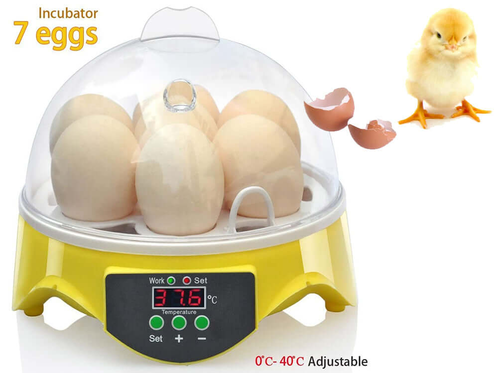 Egg Incubator 7 eggs - The Shopsite