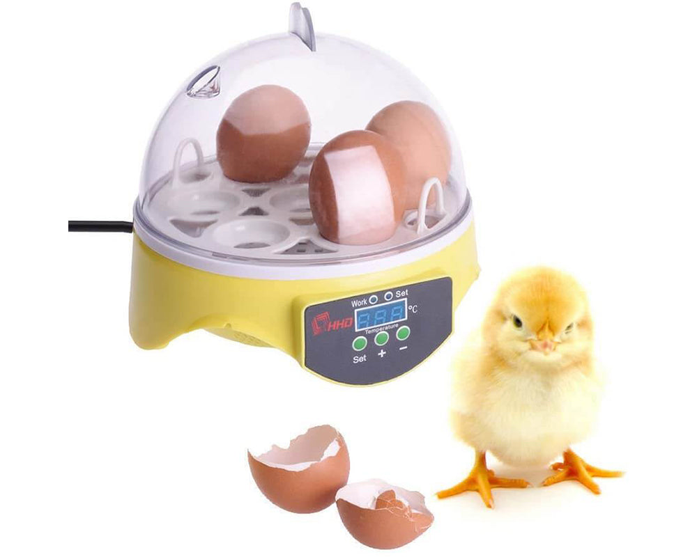 Egg incubator with power indicator light