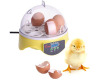 Thumbnail for Egg incubator with power indicator light