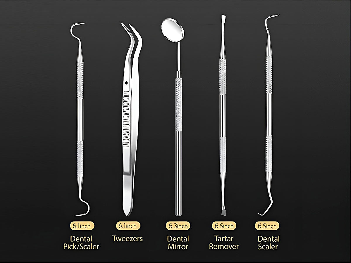 Essential Dental Hygiene Tool Kit 5pc