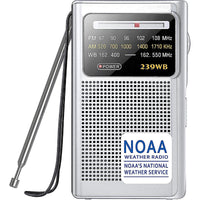 Thumbnail for Portable Stereo AM FM Radio