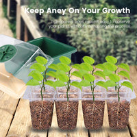 Thumbnail for Greenhouse With Seed Tray Green - The Shopsite
