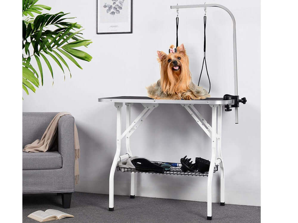 Dog Grooming Table Height Adjustable - The Shopsite