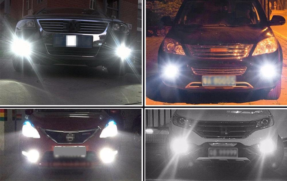 Bulbs ready for vehicle fog light replacement