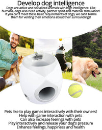 Thumbnail for Creative Dog Pet Toys Tennis - The Shopsite