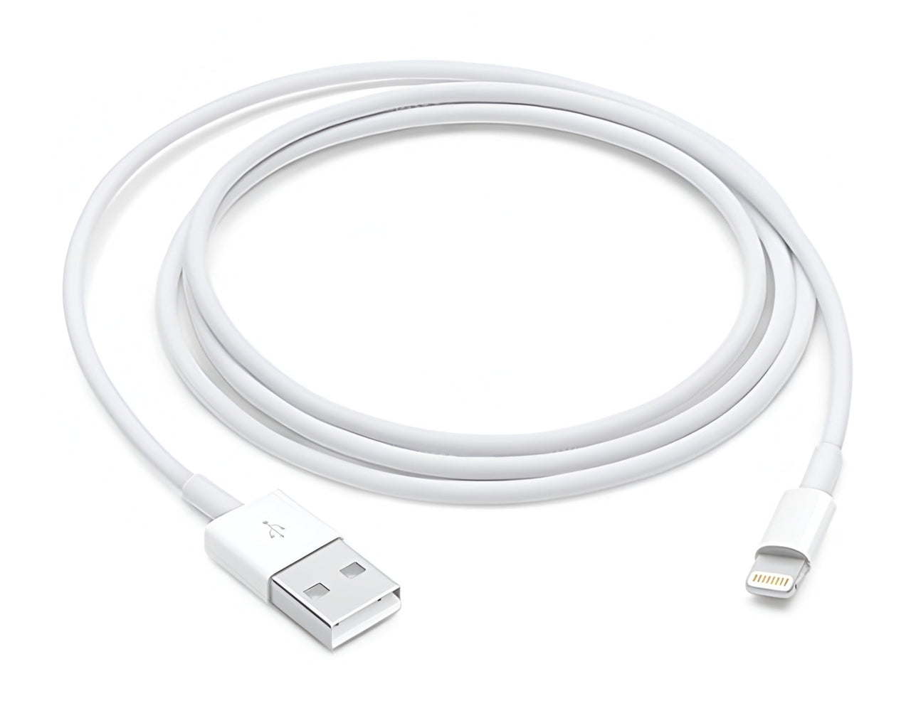 iPhone Charger Cable Replacement