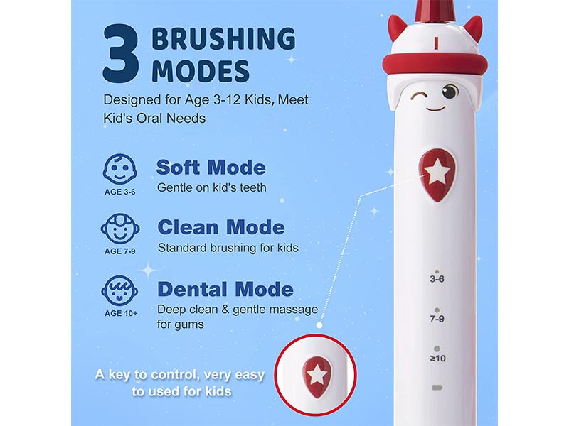 Toothbrush with timer display