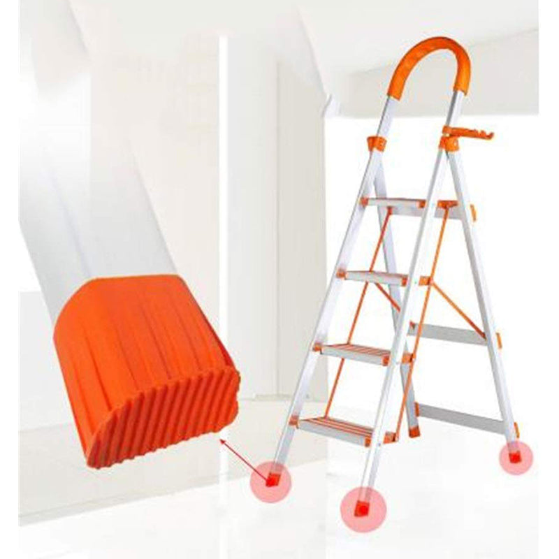 Ladder with load capacity label
