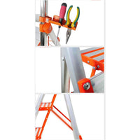 Thumbnail for Ladder with load capacity label