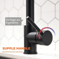 Thumbnail for Close-up of black lever handle on kitchen faucet