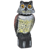 Thumbnail for Owl decoy bird scarer standing on garden stake