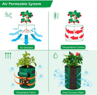 Thumbnail for Plant grow bag with window filled with soil and plants