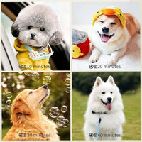 Thumbnail for Dog Cat Pet Dryer Pet Hair Dryer