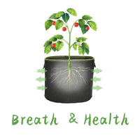 Thumbnail for Plant Grow Bag 4 Pack