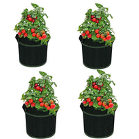 Thumbnail for Plant Grow Bag 4 Pack
