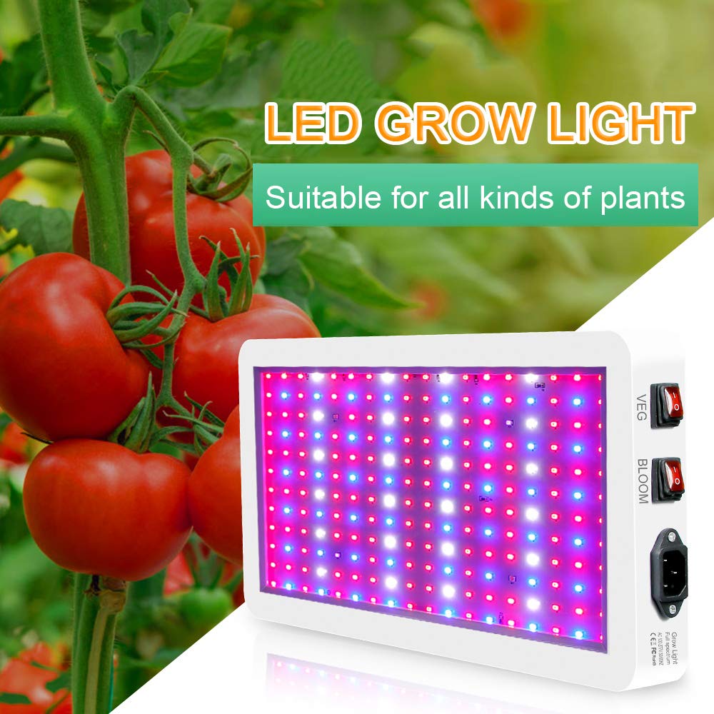 Grow light with dual VEG and BLOOM switches