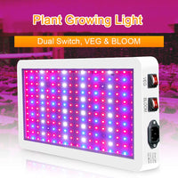 Thumbnail for Grow light hanging installation with rope