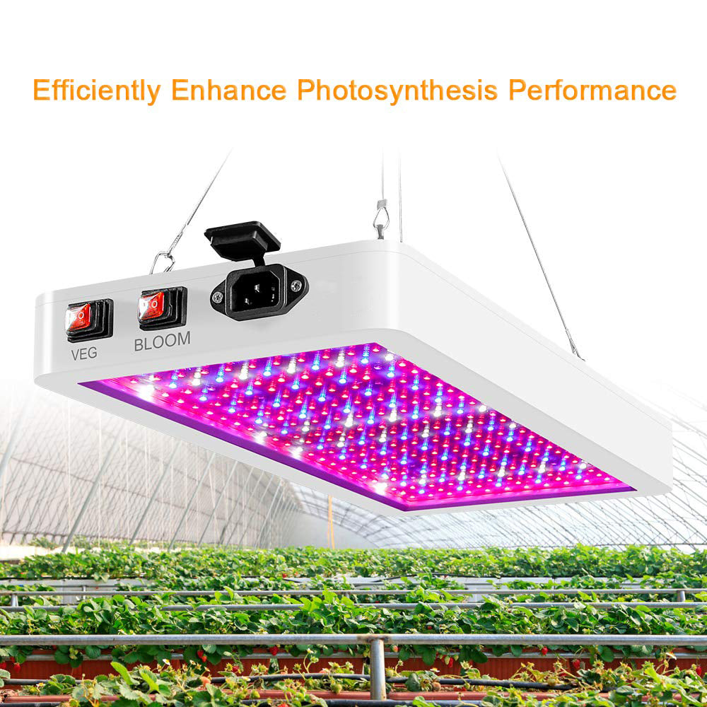 Grow light with NZ plug and power cord