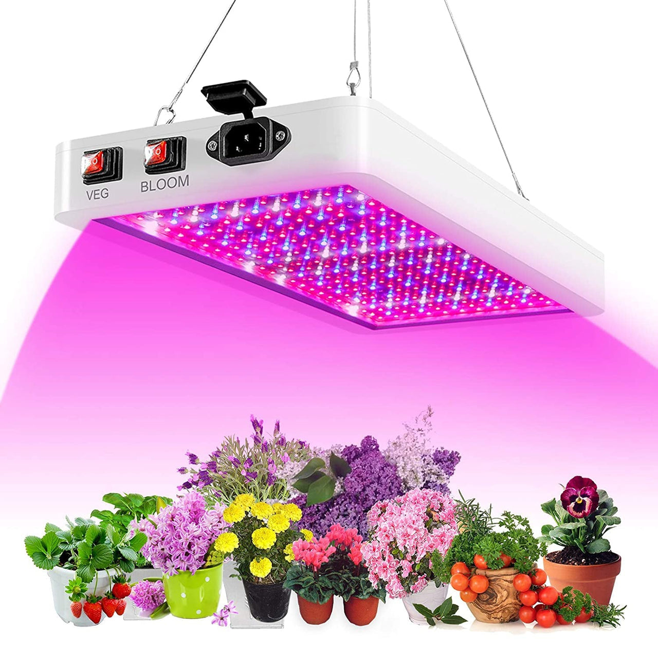 Close-up of red and blue LED lights