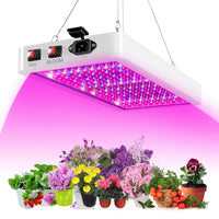 Thumbnail for Close-up of red and blue LED lights