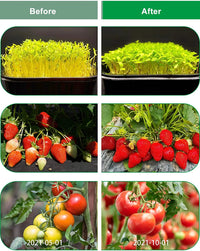 Thumbnail for LED Grow Lights UV Indoor Plants